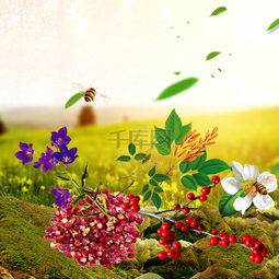 草地植物花卉食品促銷主圖設(shè)計 千庫網(wǎng)免費PSD素材推薦