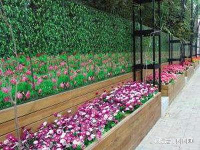 花卉園藝師證報考指南 報名流程、考試內(nèi)容及費用全解析