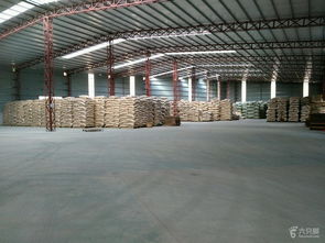 龍花食品廠看現(xiàn)場 當(dāng)工業(yè)遇見花卉